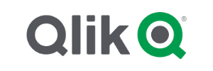 15-Qlik-Q.png